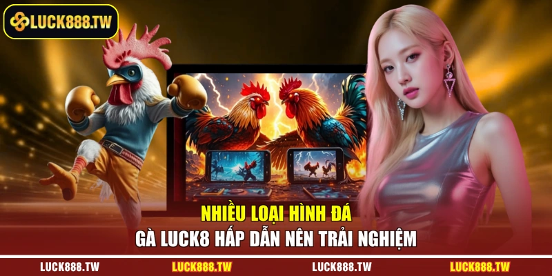 Nhiều loại hình đá gà Luck8 hấp dẫn nên trải nghiệm